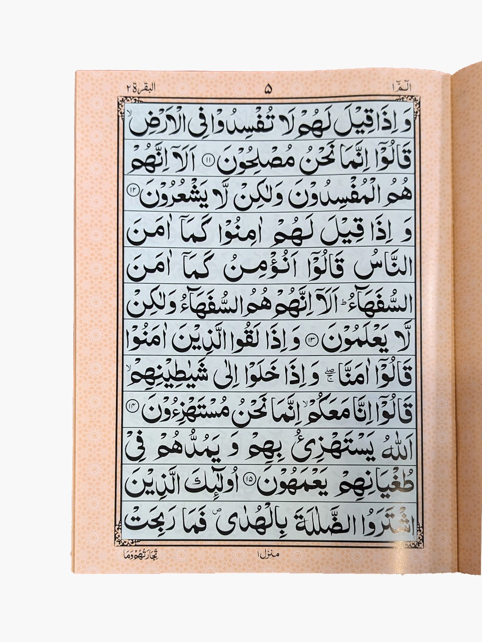 Premium Supara Set – Light Green Background - QURAN MARKAZ