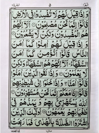 Extra Large & Bold Font Quran Pak – Light Green Background - QURAN MARKAZ