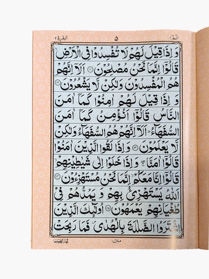 Premium Supara Set – Light Green Background - QURAN MARKAZ